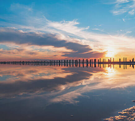 Camargue
